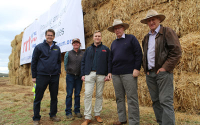 DELIVERING HAY, HOPE AND H20 TO FARMERS IN NEW ENGLAND