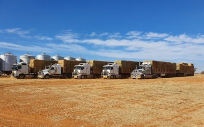 OPERATION FIRE & DROUGHT RELIEF DELIVERS HAY TO FIRE-AFFECTED NSW SOUTH COAST