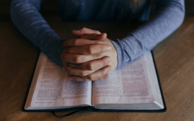 WHAT DOES THE PLYMOUTH BRETHREN CHRISTIAN CHURCH COMMUNITY MEAN BY ‘FAITH’?